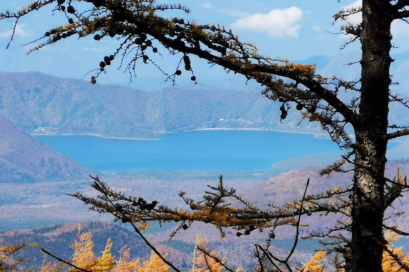 山梨-富士山五合目